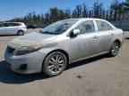 2009 TOYOTA COROLLA