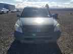 2005 HONDA PILOT
