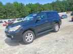 2013 LEXUS GX 460