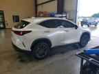 2024 LEXUS NX 350