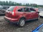 2007 HONDA CR-V