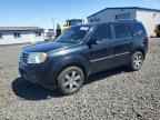 2013 HONDA PILOT
