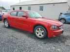 2010 DODGE CHARGER