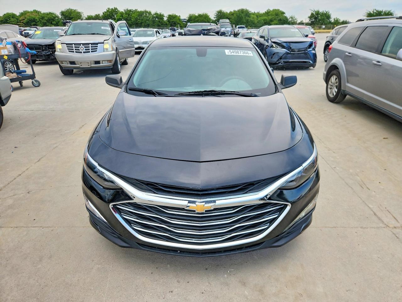 2019 CHEVROLET MALIBU