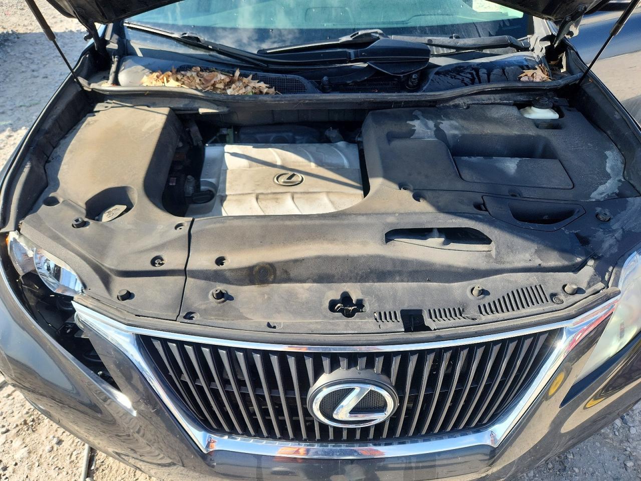 2010 LEXUS RX 350