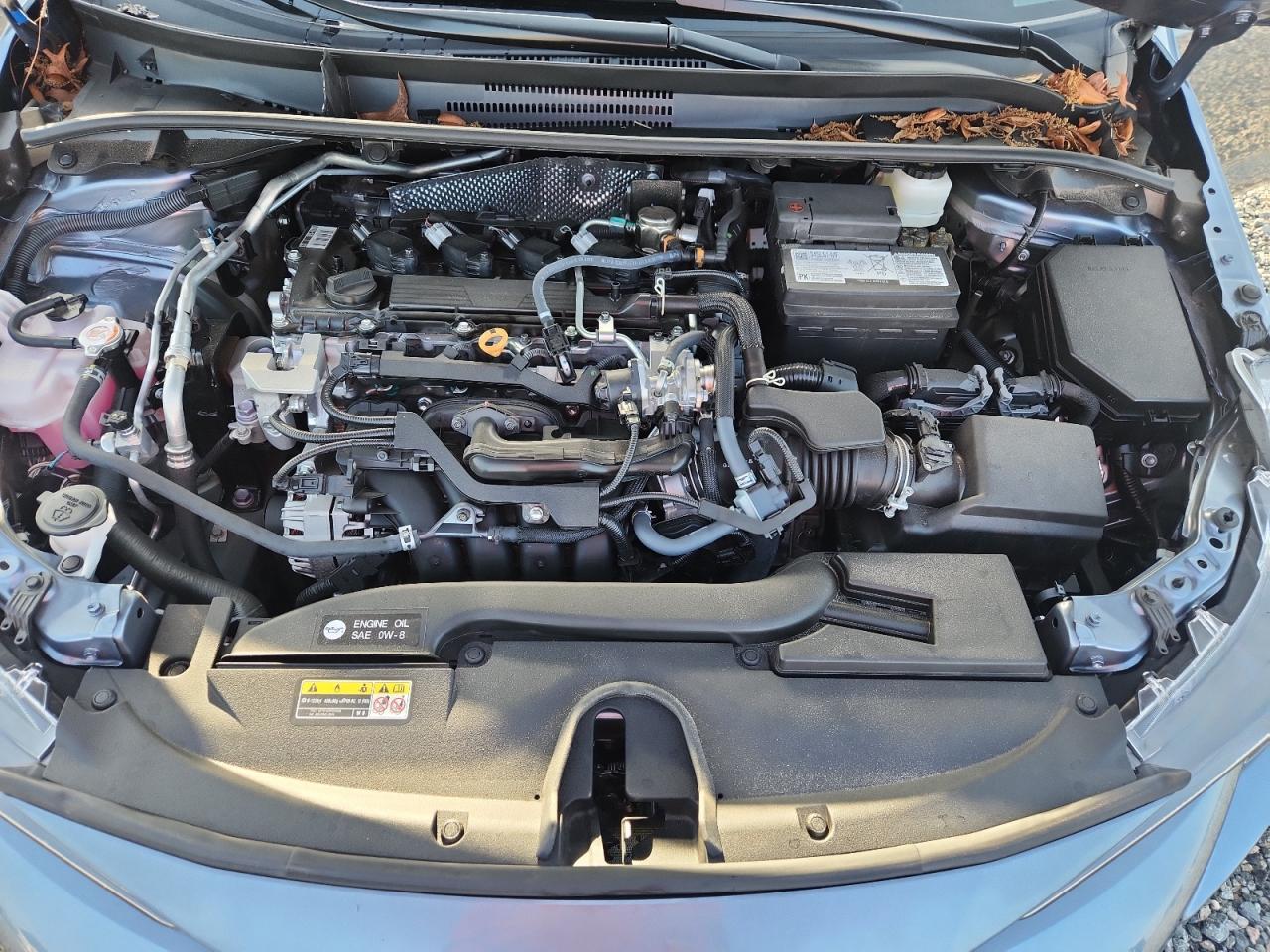 2025 TOYOTA COROLLA