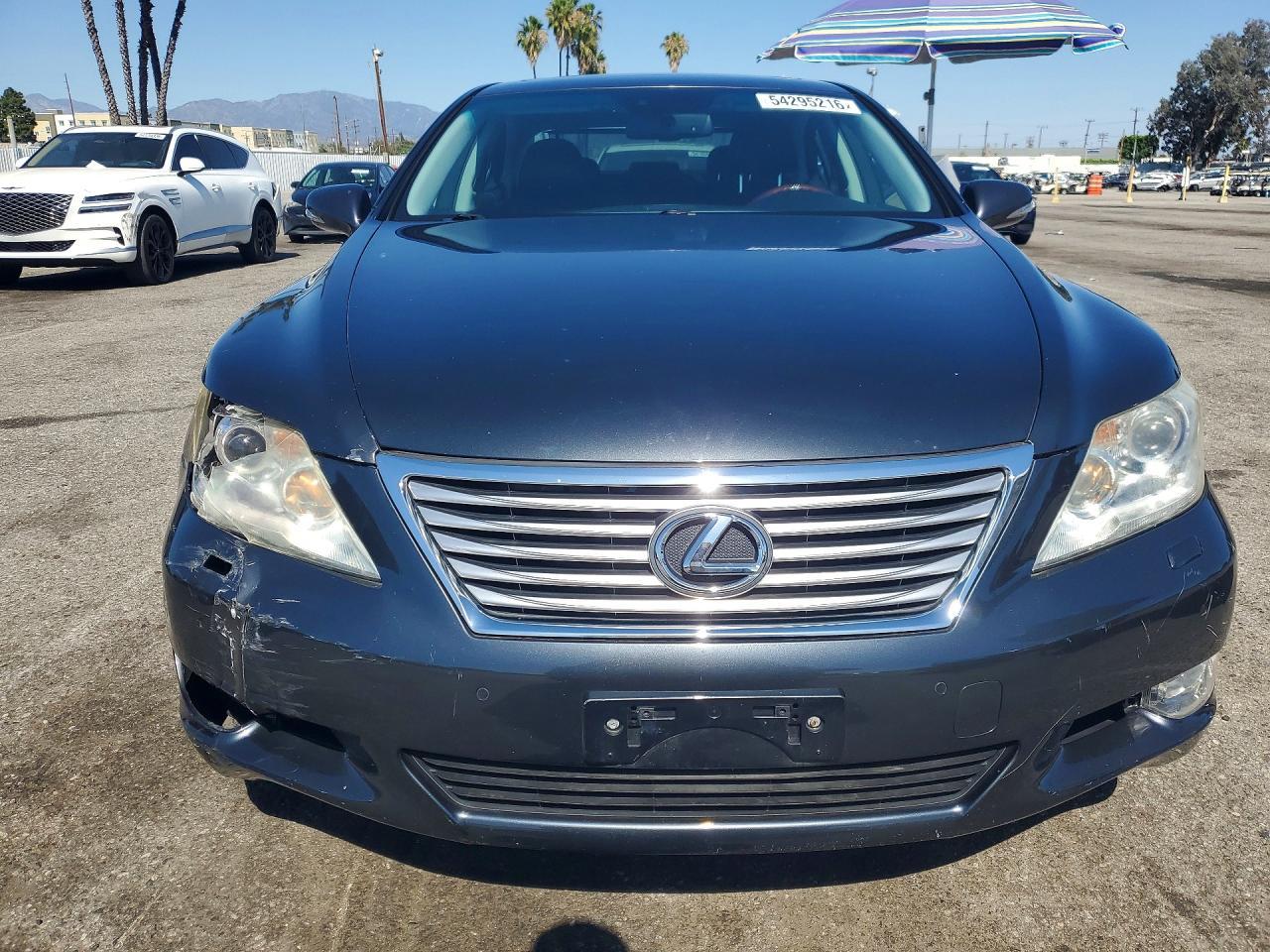 2010 LEXUS LS 460