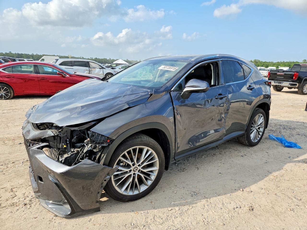 2025 LEXUS NX 350