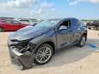 2025 LEXUS NX 350