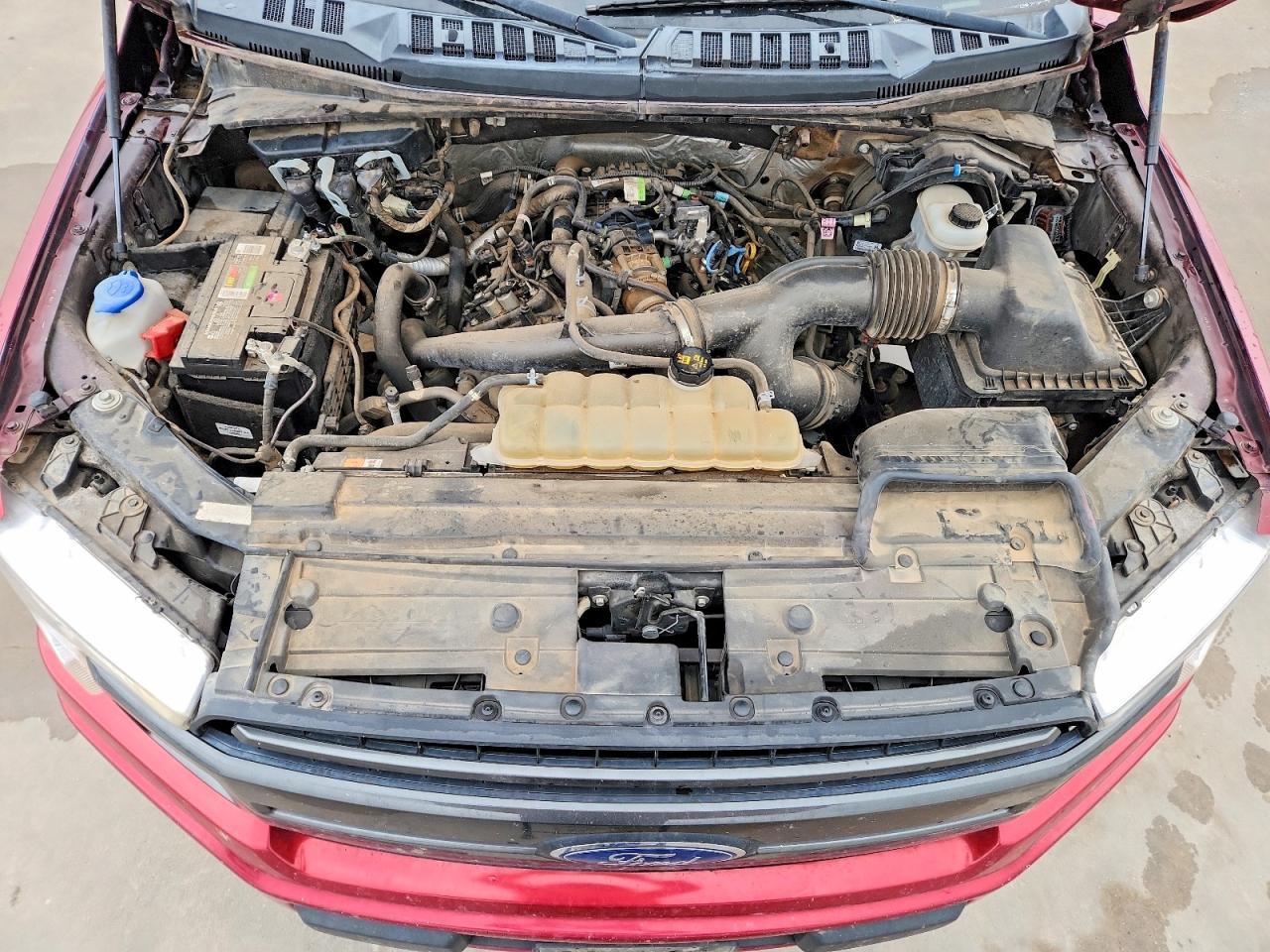 2019 FORD F-150