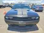 2010 DODGE Challenger