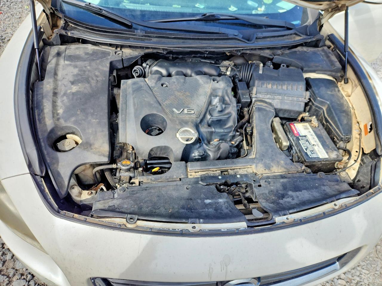 2014 NISSAN Maxima