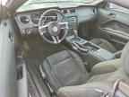 2013 FORD MUSTANG