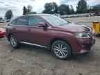 2015 LEXUS RX 450H