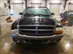 2002 DODGE Dakota