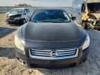 2013 NISSAN Maxima
