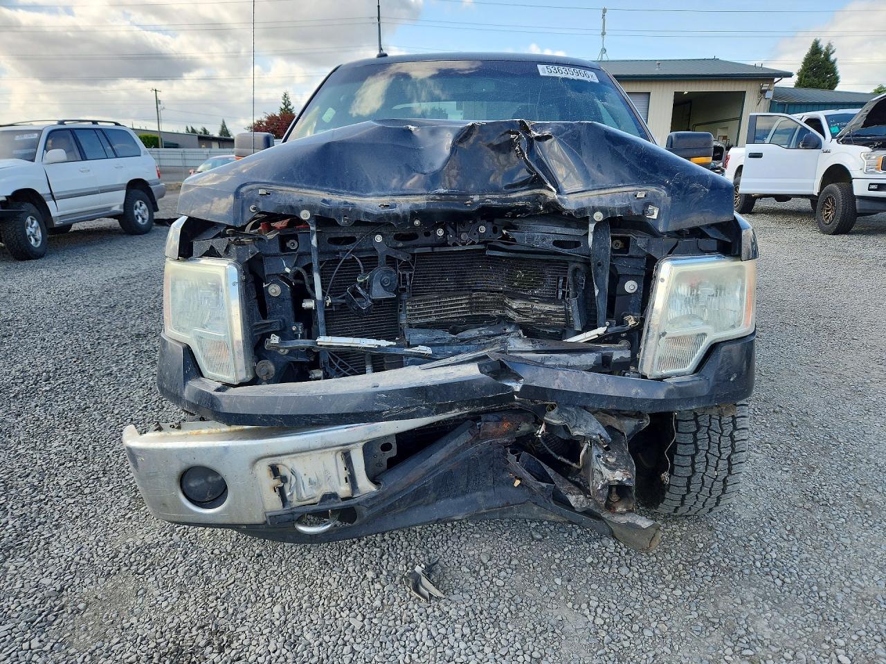 2013 FORD F-150 Lightning