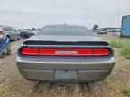 2010 DODGE Challenger
