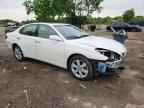 2006 LEXUS ES 330