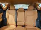 2026 LEXUS NX 350