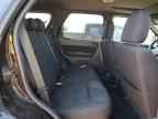 2009 FORD ESCAPE