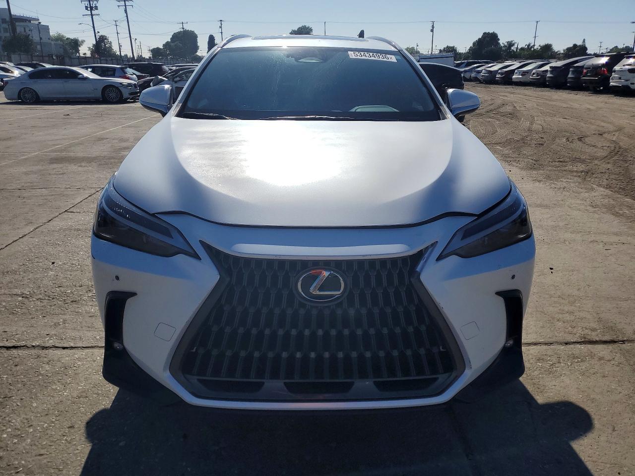 2025 LEXUS NX 250
