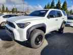 2025 TOYOTA 4Runner