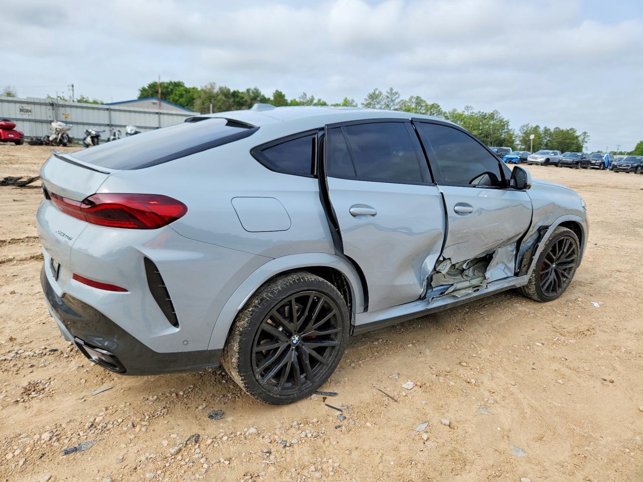 2024 BMW X6