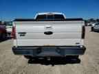 2010 FORD F-150 Lightning