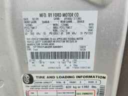 2009 FORD F-150 Lightning