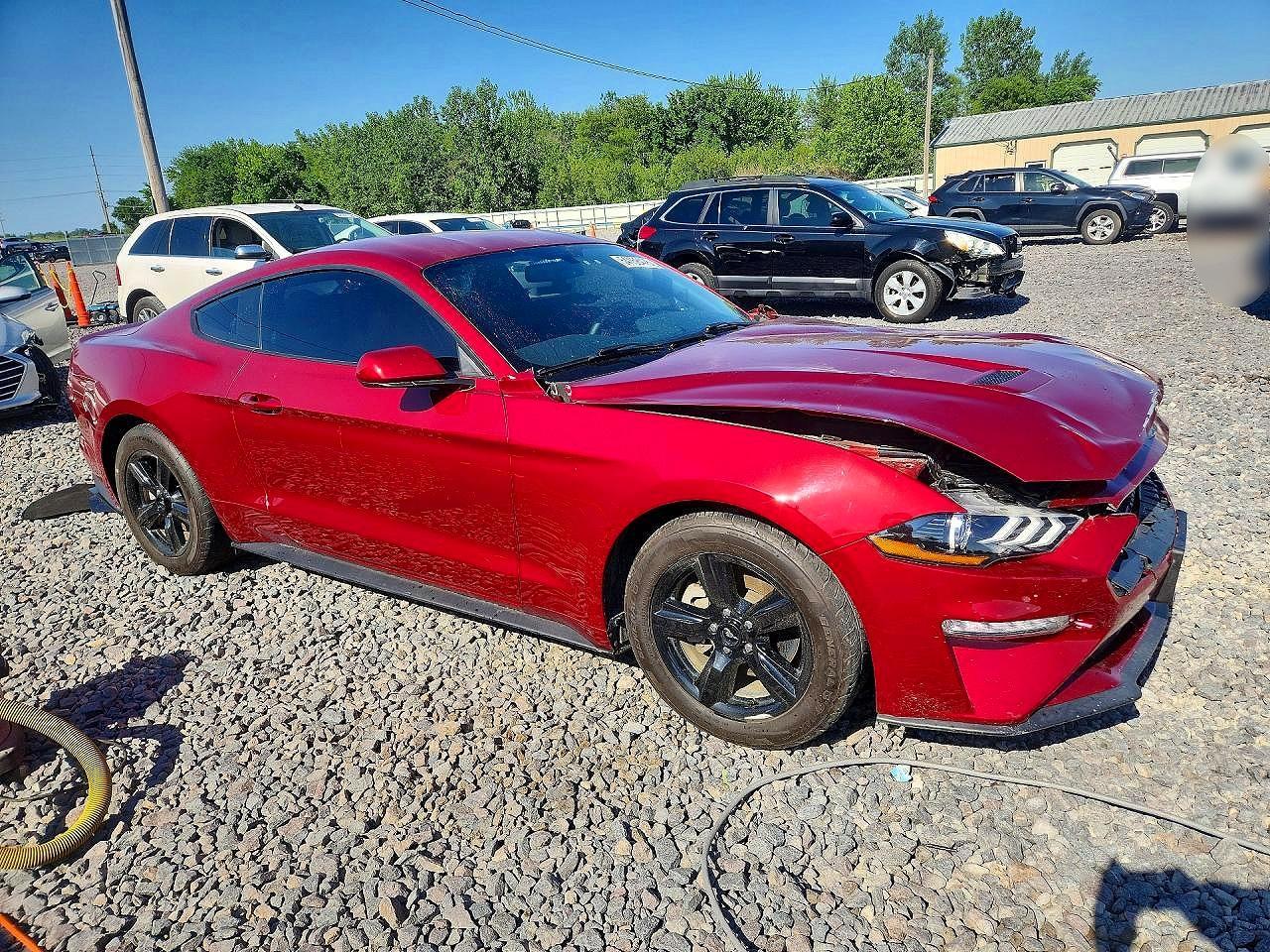 2019 FORD MUSTANG