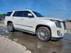 2016 CADILLAC ESCALADE