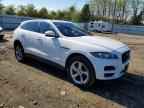 2019 JAGUAR F-Pace