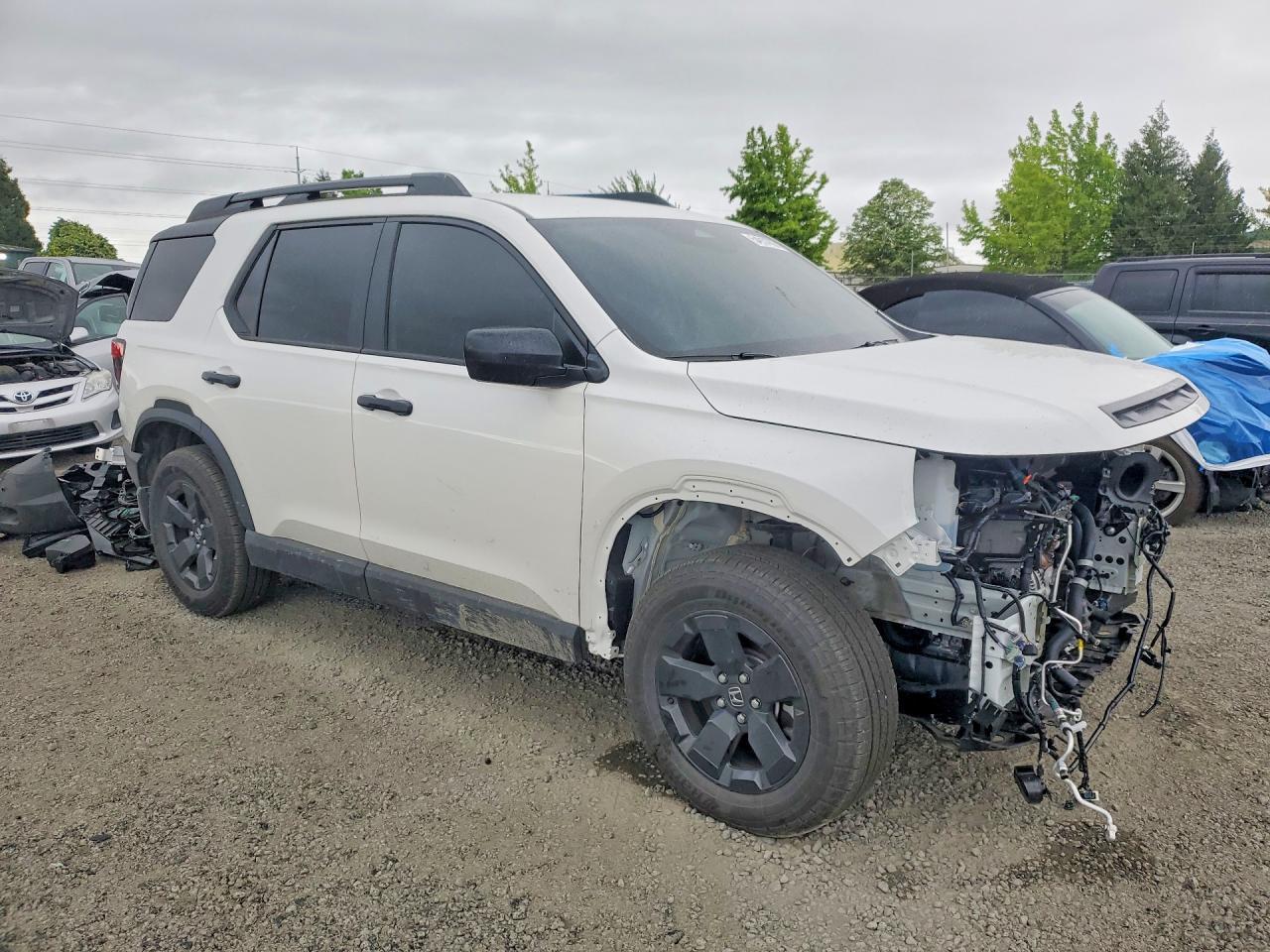 2026 HONDA Passport