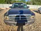 2004 DODGE Dakota