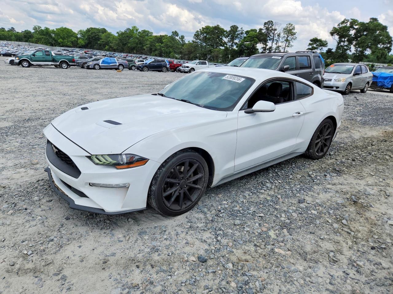 2019 FORD MUSTANG