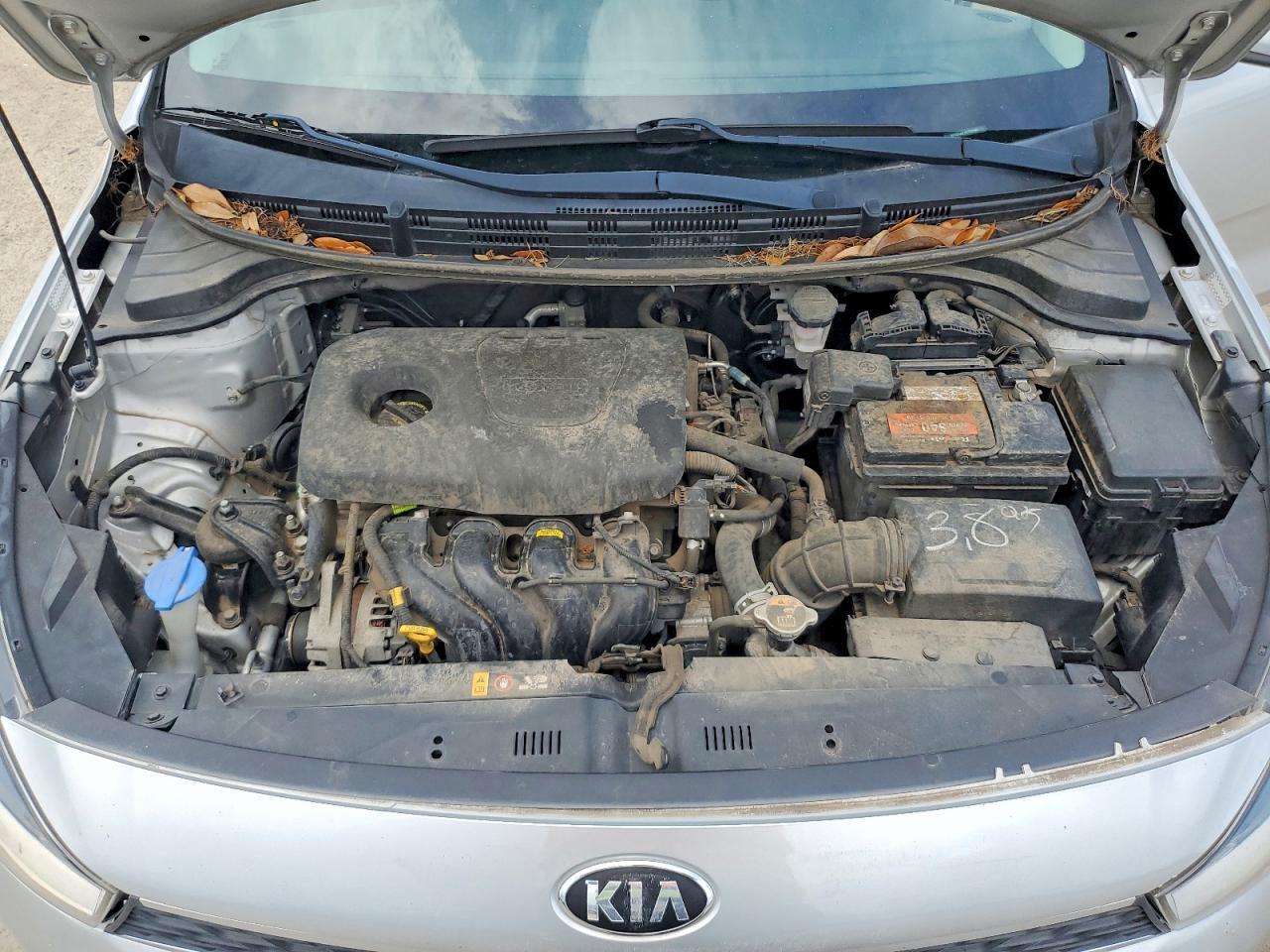 2019 KIA RIO