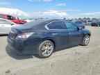 2014 NISSAN Maxima