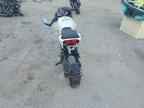 2024 CF MOTO Papio