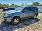 2010 FORD ESCAPE