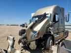 2024 FREIGHTLINER CASCADIA 126