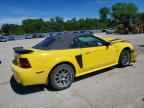 2001 FORD MUSTANG
