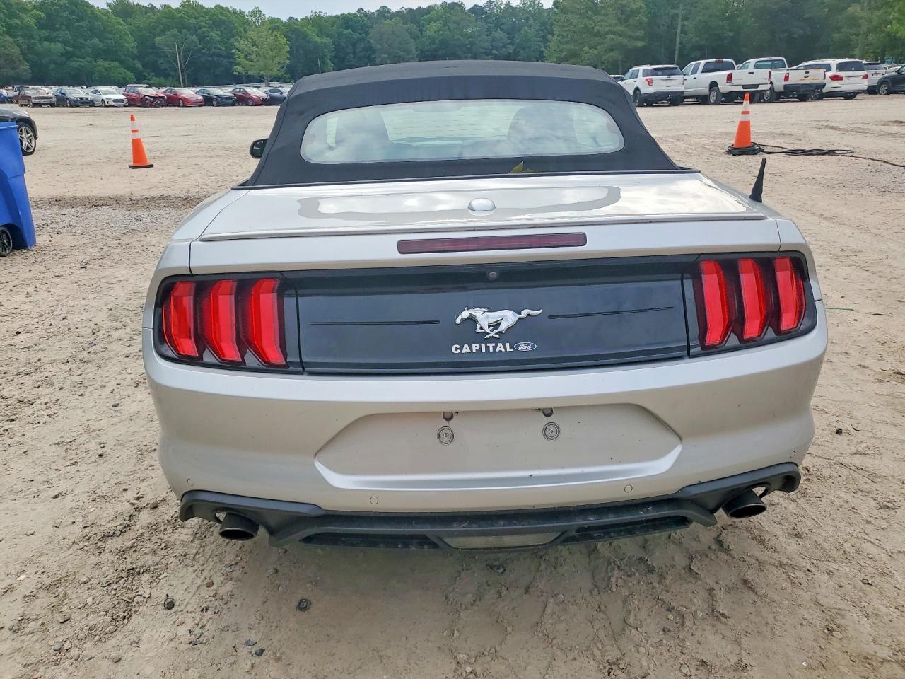2019 FORD MUSTANG