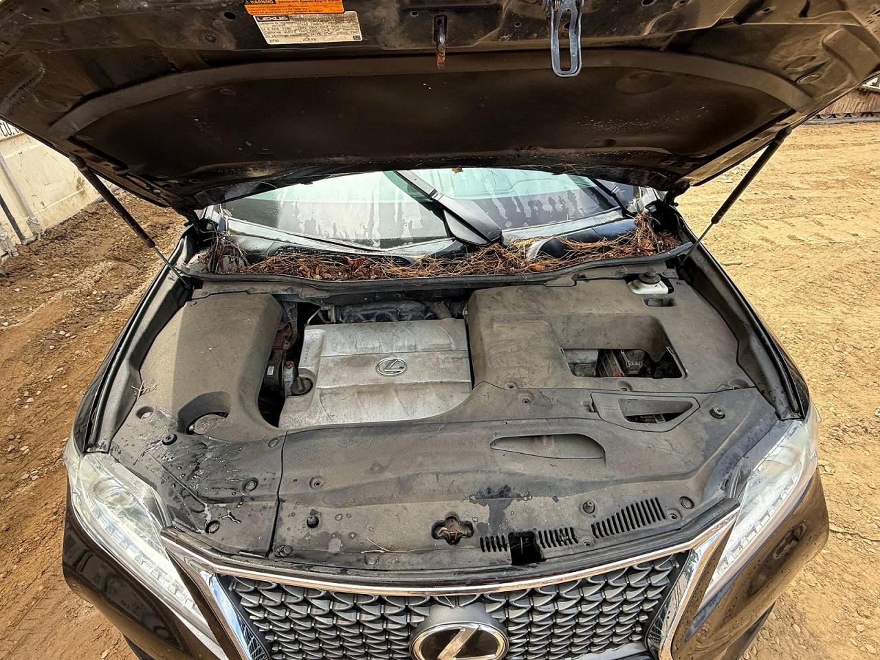 2015 LEXUS RX 350