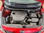 2013 KIA RIO