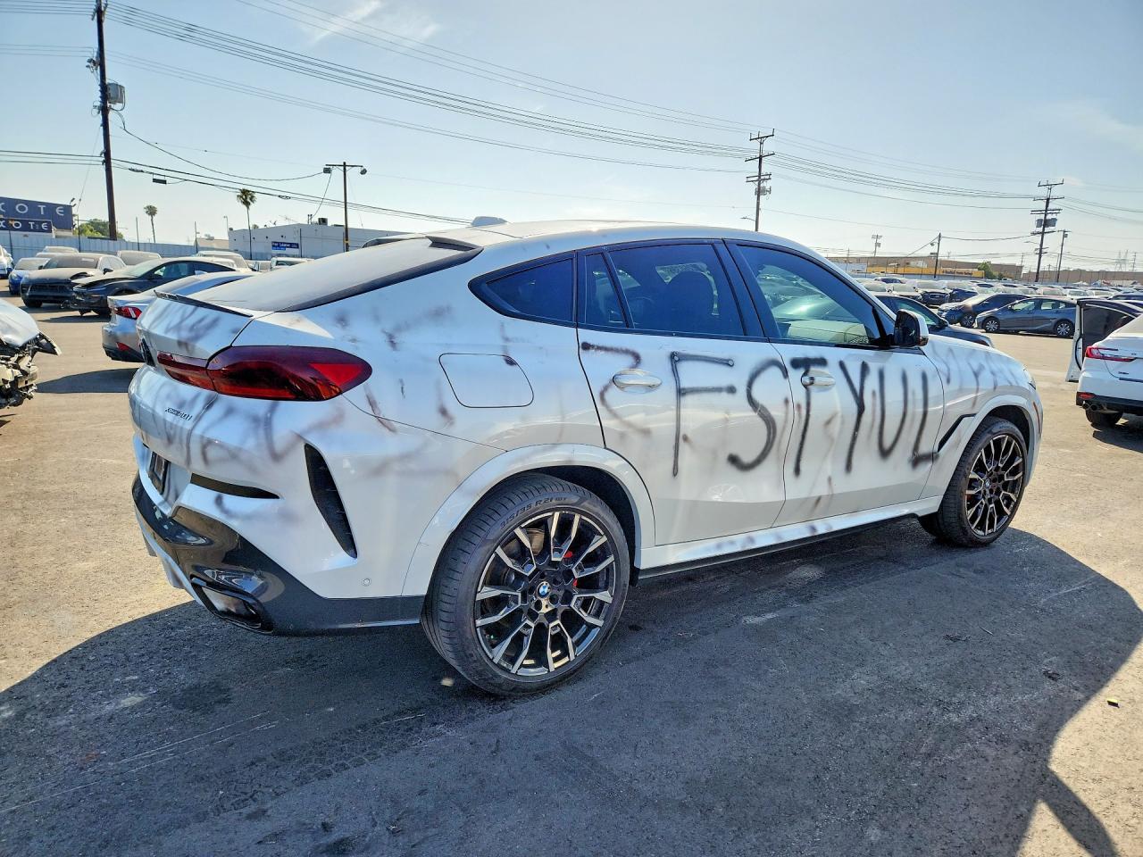 2024 BMW X6
