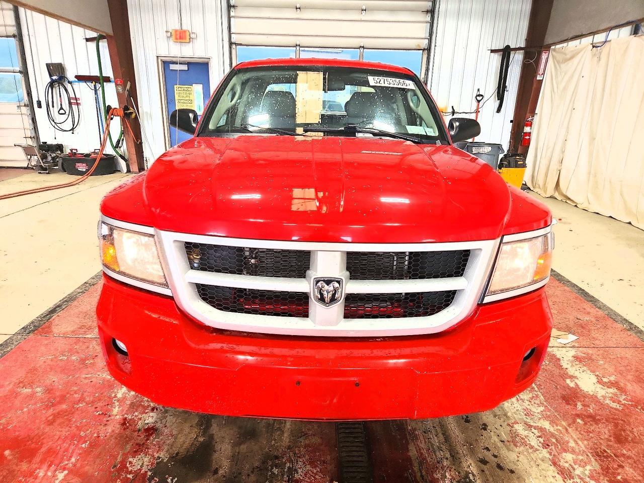 2011 DODGE Dakota