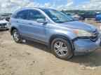 2010 HONDA CR-V
