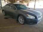 2009 NISSAN Maxima