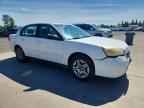 2006 CHEVROLET MALIBU